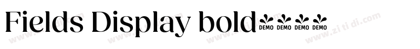 Fields Display bold字体转换
